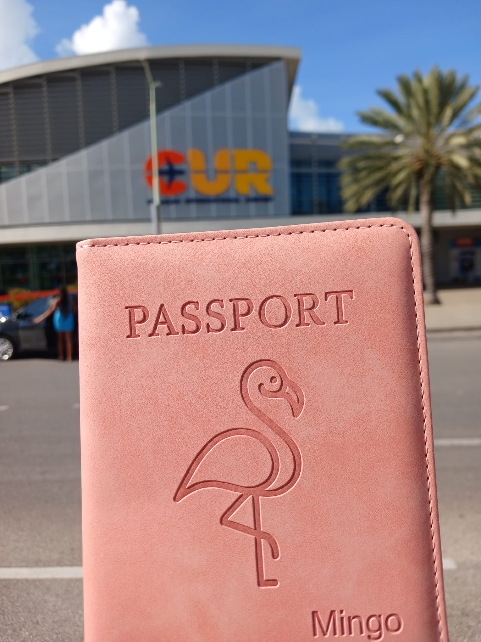 Passport Holder Pink